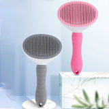 Hair Remover Beauty Hairbrush