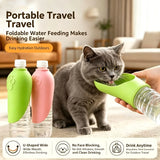 Pet Travel Cup with a Removable Bowl