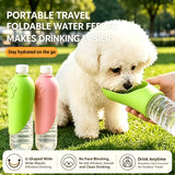 Pet Travel Cup with a Removable Bowl