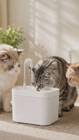 Automatic pet water fountain